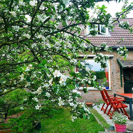 Huisjeaandedinkel Overdinkel Exteriér fotografie