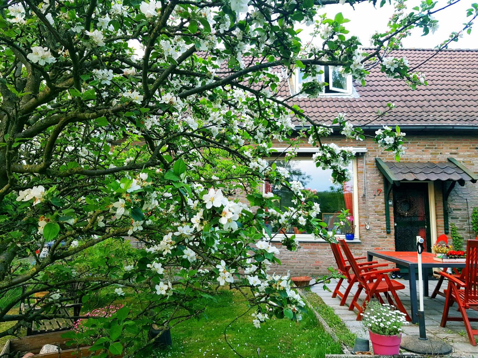 Huisjeaandedinkel Overdinkel Exteriér fotografie