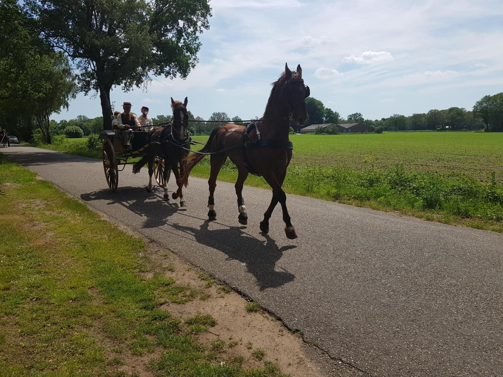 Huisjeaandedinkel Overdinkel Exteriér fotografie